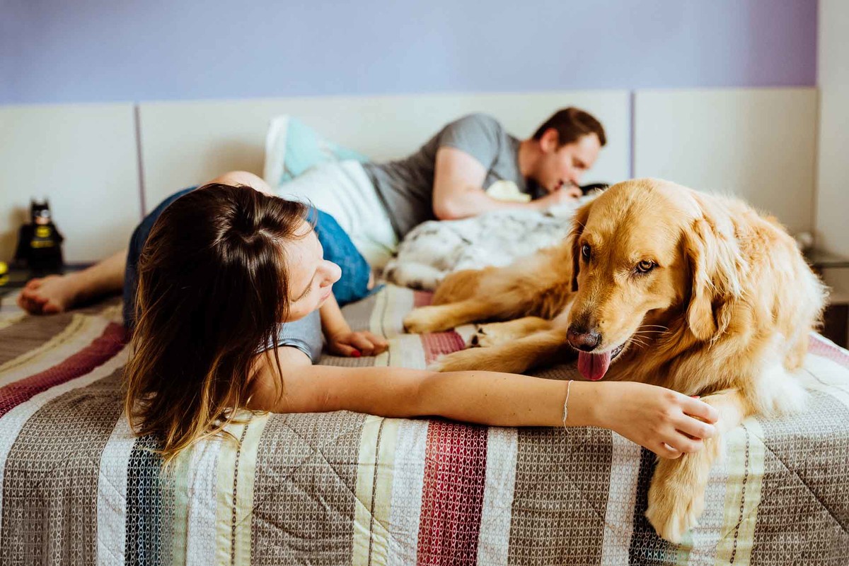 ensaio-fotografico-familia-curitiba, ensaio-com-cachorro-curitiba, ensaio-pet-curitiba, ensaio-casal-curitiba, book-casal-curitiba, ensaio-familia-curitiba