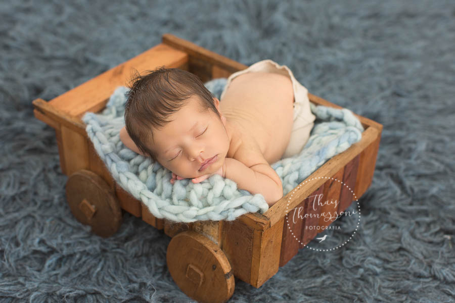 ensaio newborn