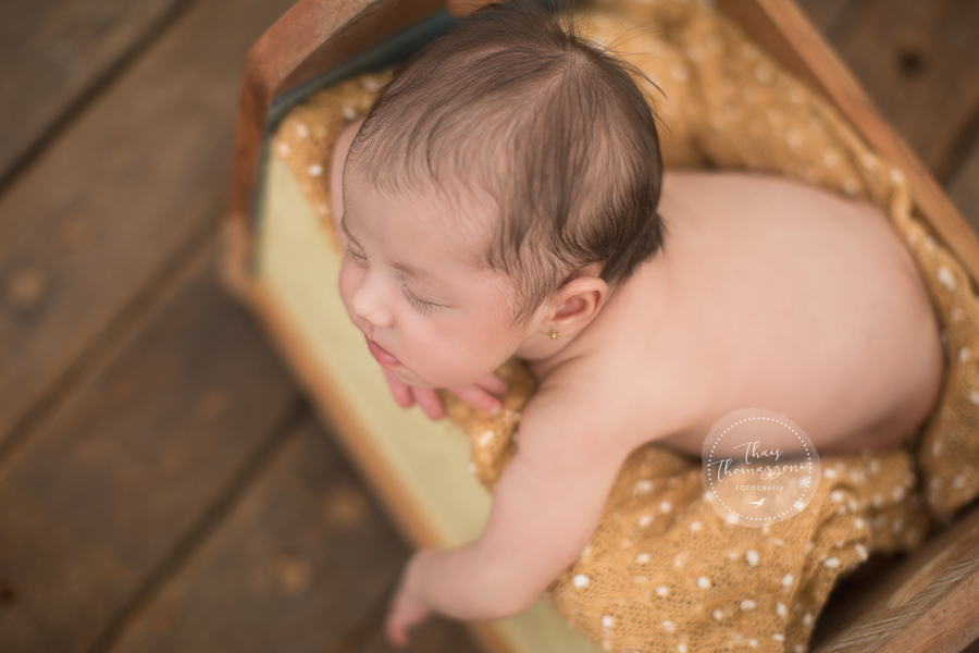 newborn em alphaville