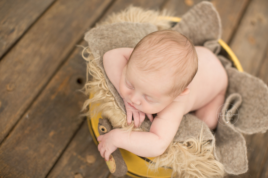 estudio_de_newborn_sp