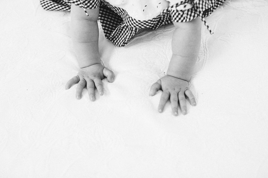regristro fotografico