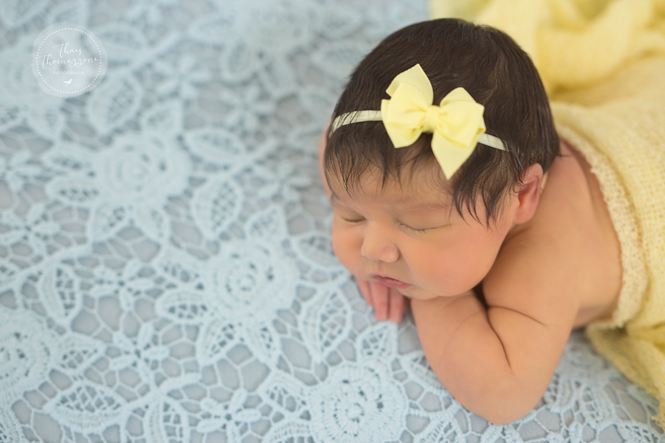 fotografia de newborn sp