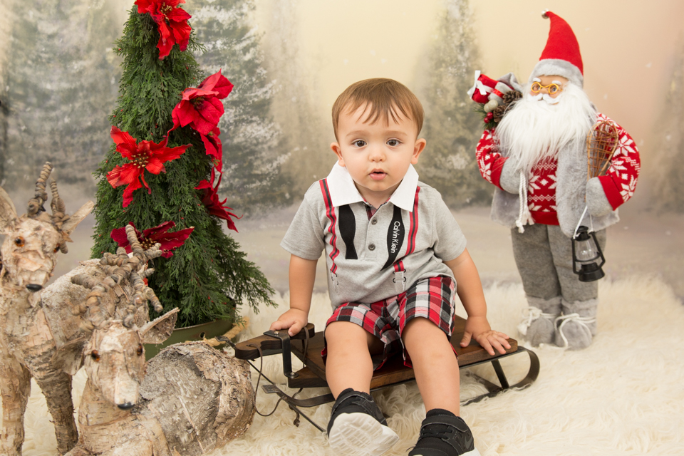 mini sessão de natal