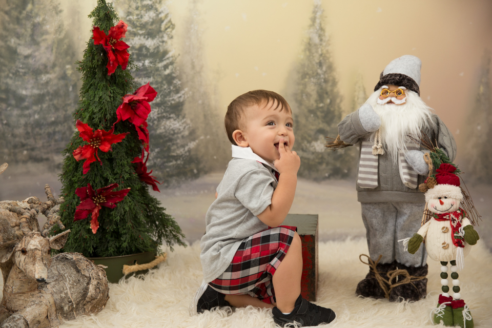mini sessão de natal