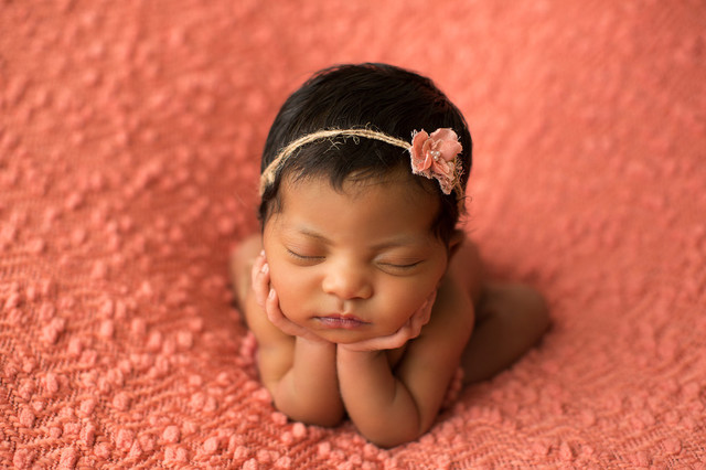 Ensaios de Newborn de Book Newborn Laisa