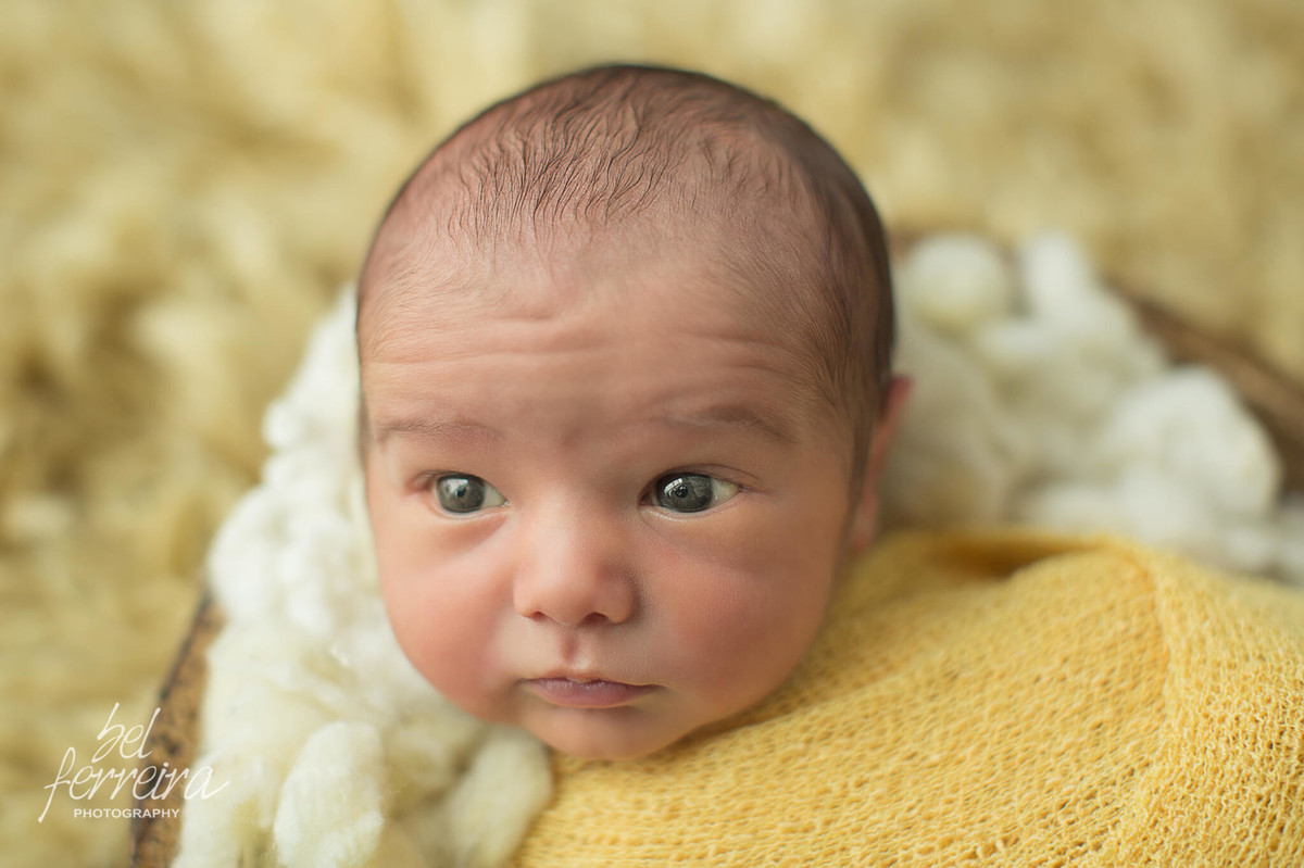 book_newborn_sessão_newborn_bel_ferreira_curitiba