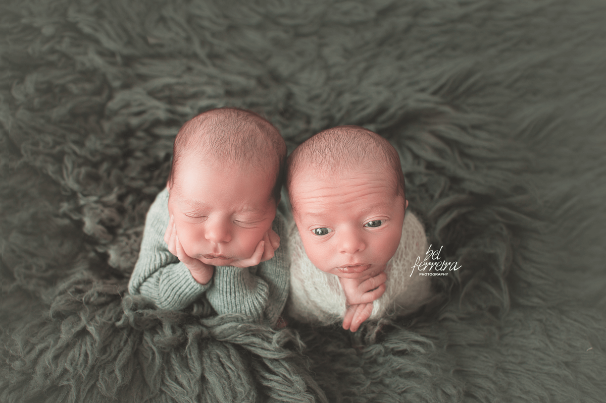 book-newborn-gemeos-bel-ferreira