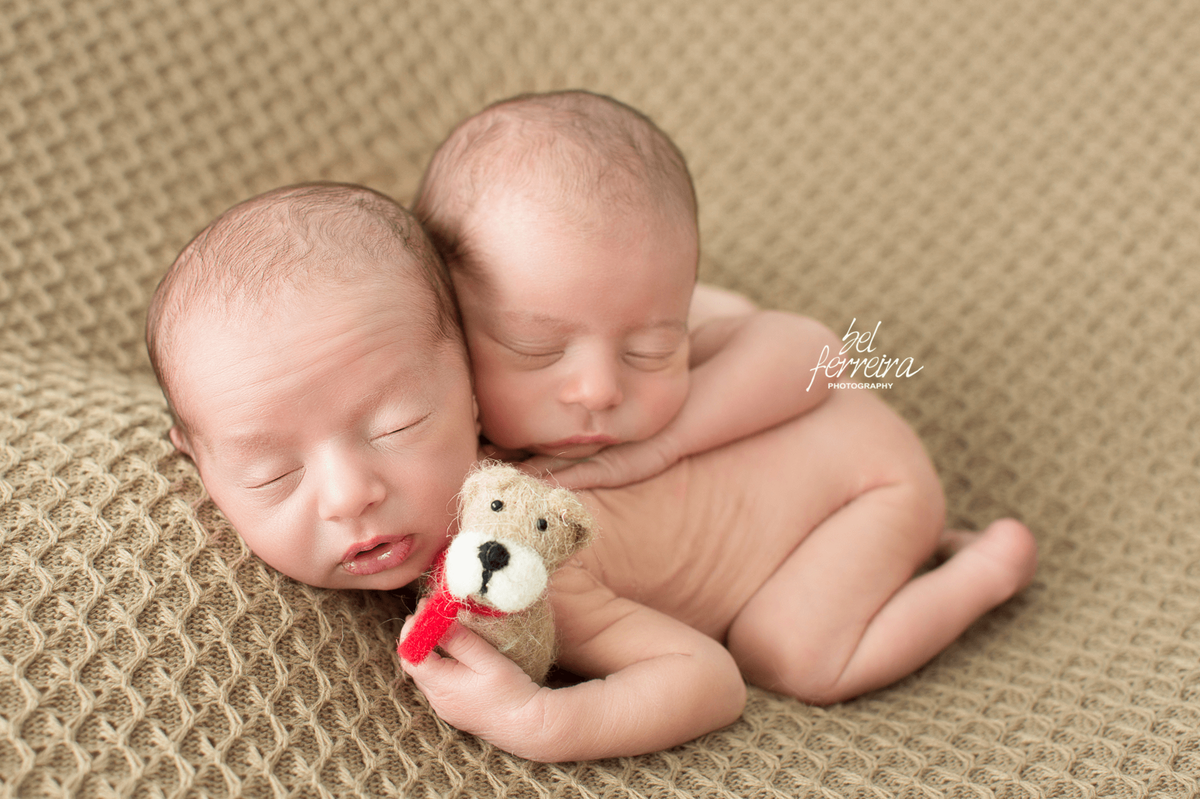 book-newborn-gemeos-bel-ferreira