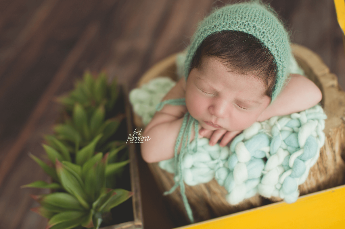 newborn-curitiba-book