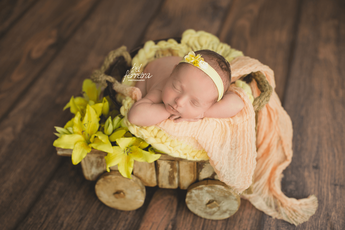 bel-ferreira-book-newborn-recém-nascido-curitiba.png