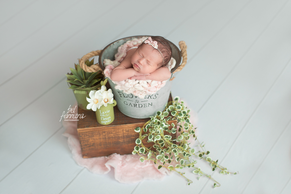 bel_ferreira_book_newborn_curitiba