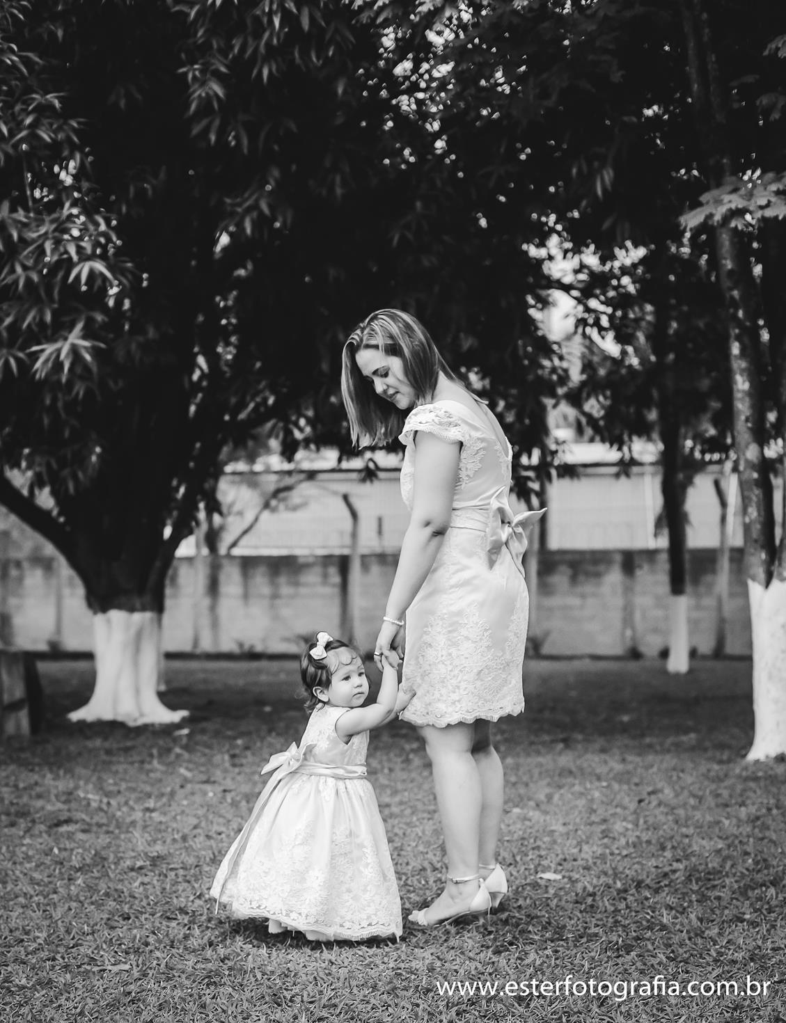 Aniversário Infantil fotografa de familia