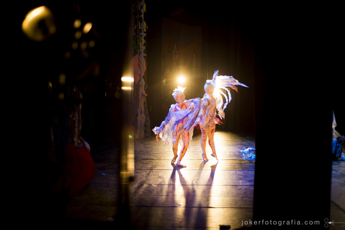 Bailarinos caracterizados de pássaros
