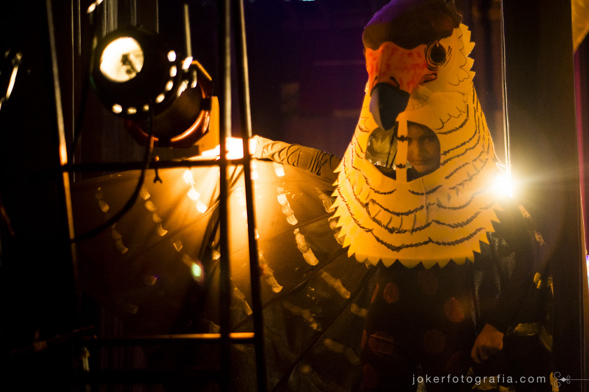 figurinos de aves para apresentação de teatro infantil
