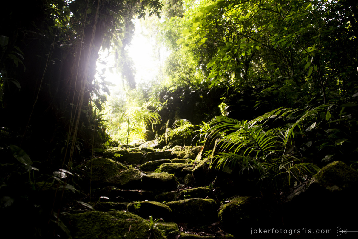joker fotografia