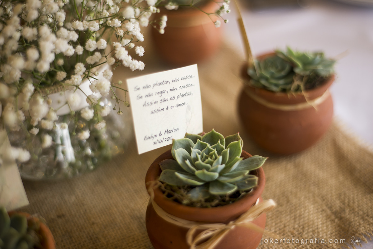 suculentas como lembrancinha de casamento