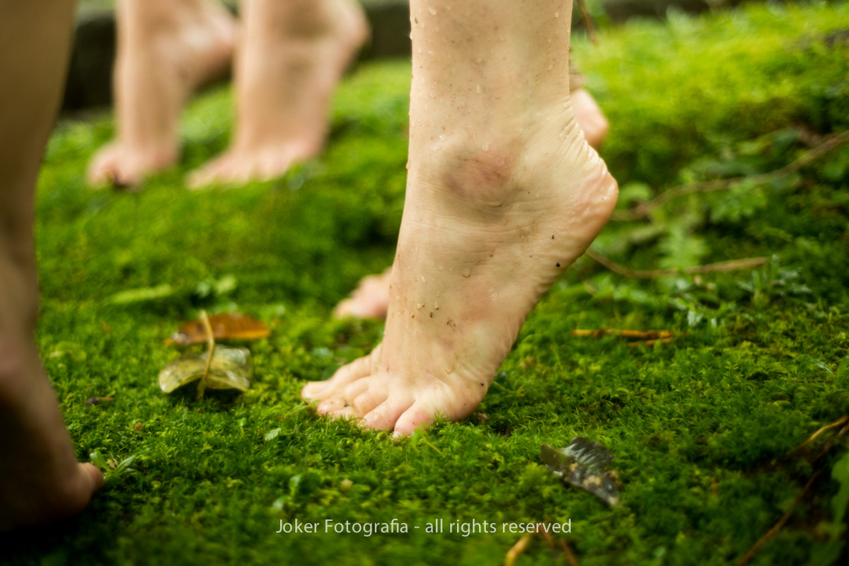 ensaio externo de ballet na natureza
