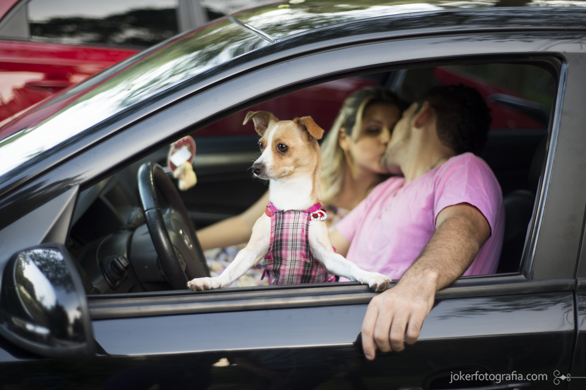 027_ensaio_casal_pre_wedding_cachorro_carro