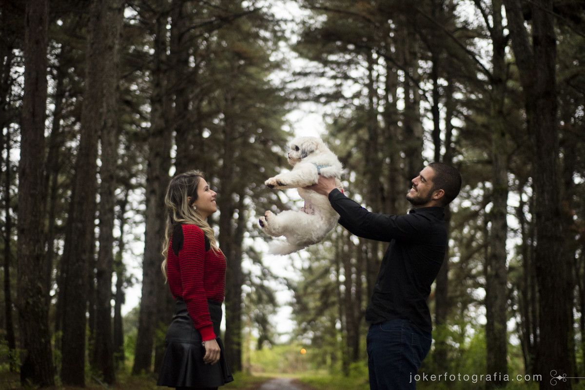 lugares diferentes em curitiba para fazer seu ensaio pré-wedding