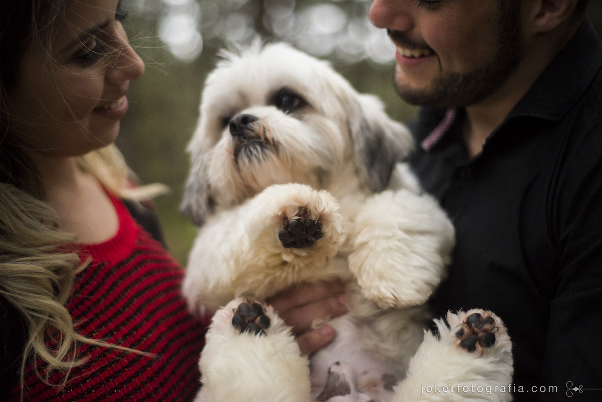 fotografia de casamento com cachorrinho do casal