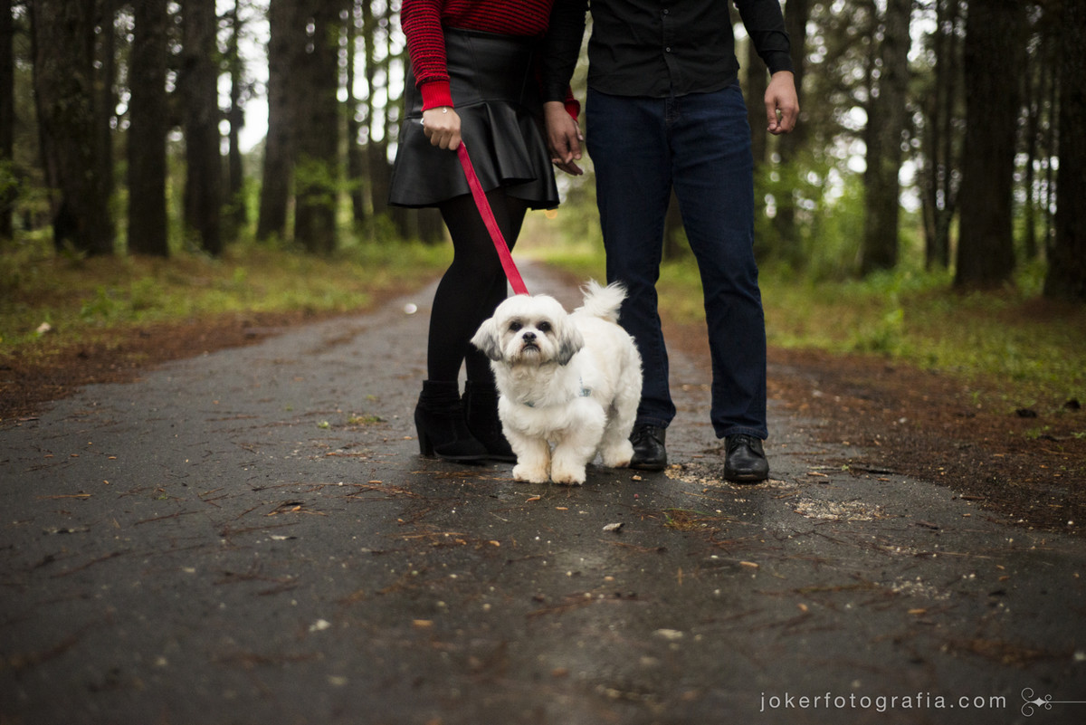 ensaio de casal com cachorro ensaios