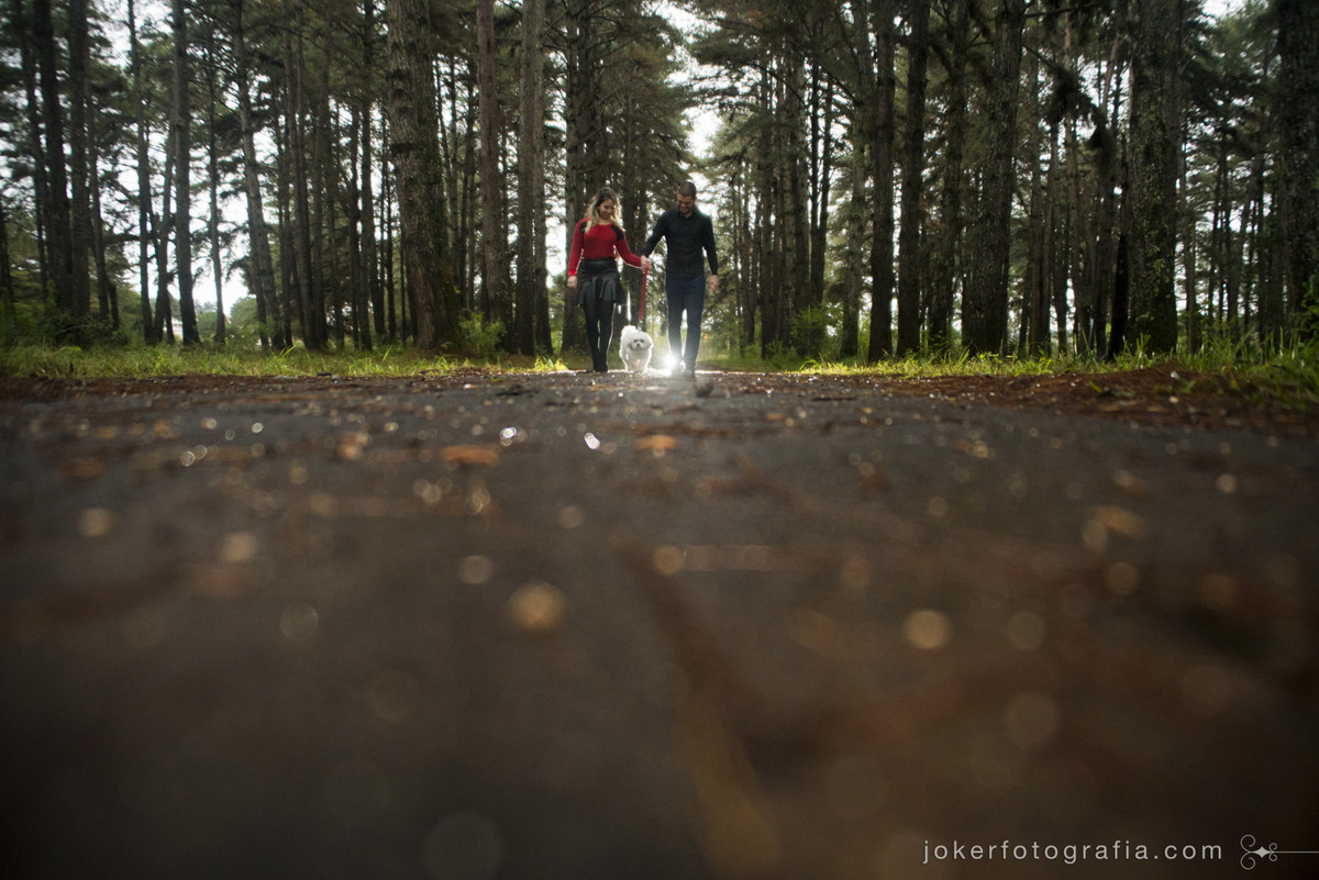 idéias de lugares criativos e com natureza para fazer seu ensaio em curitiba onde fotografar meu ensaio pre-wedding