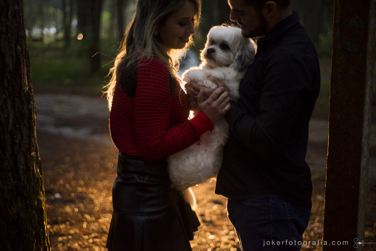 ensaio de casal com pet