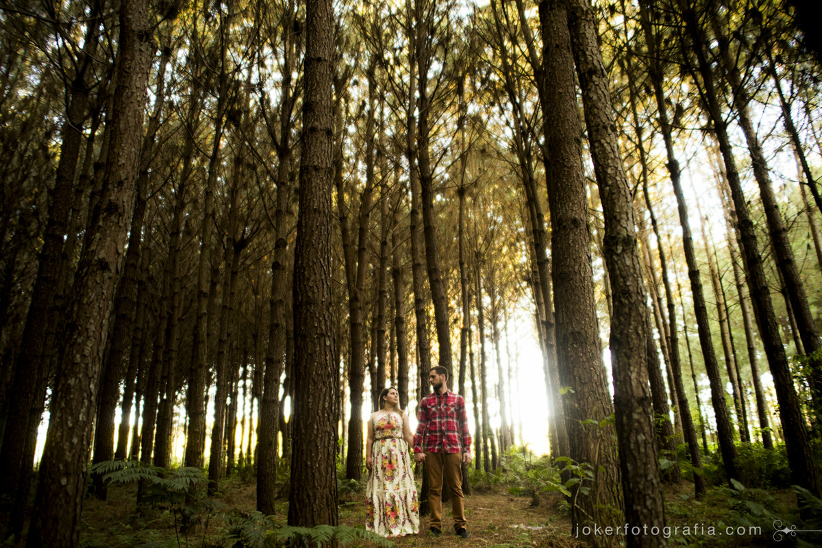 floresta dos sonhos para se fazer um ensaio pre casamento