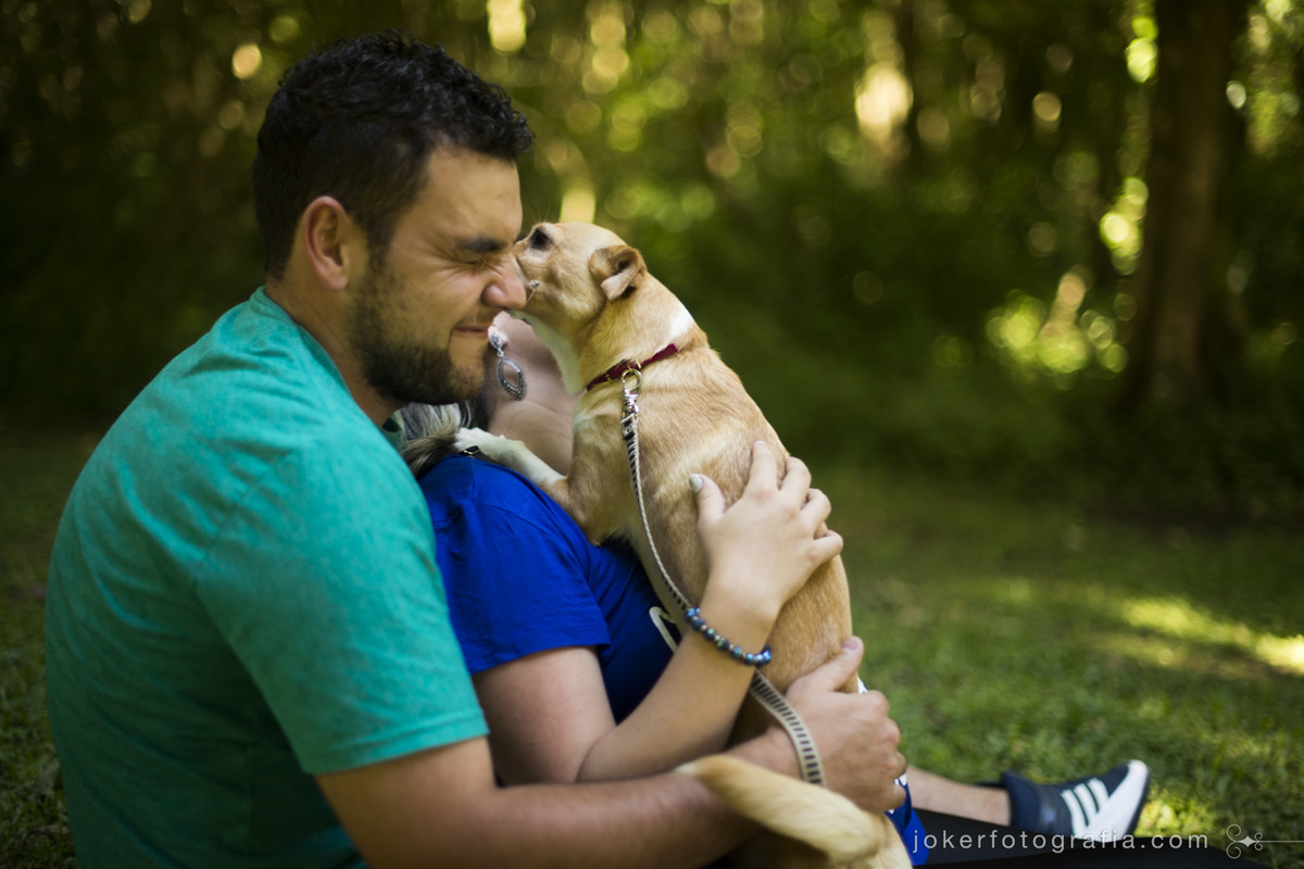 ensaio de família com cachorro