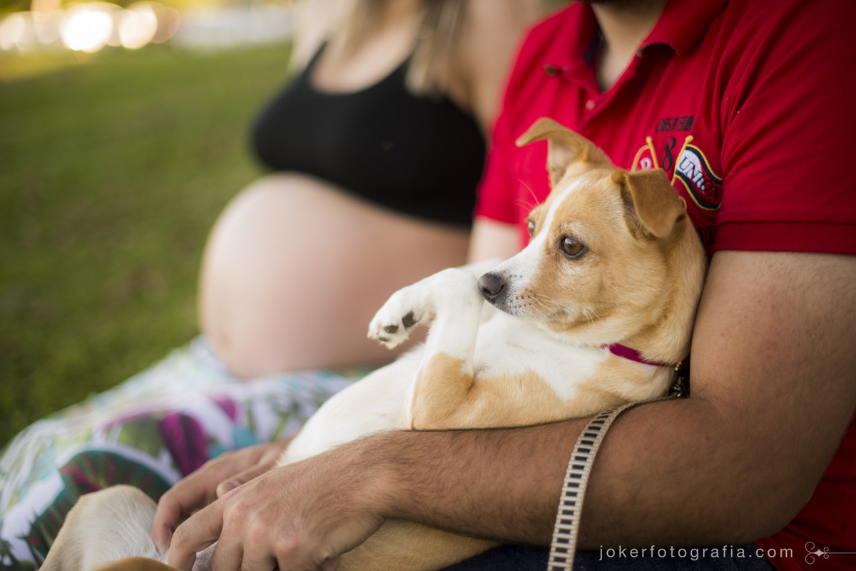 grávida com cachorrinho