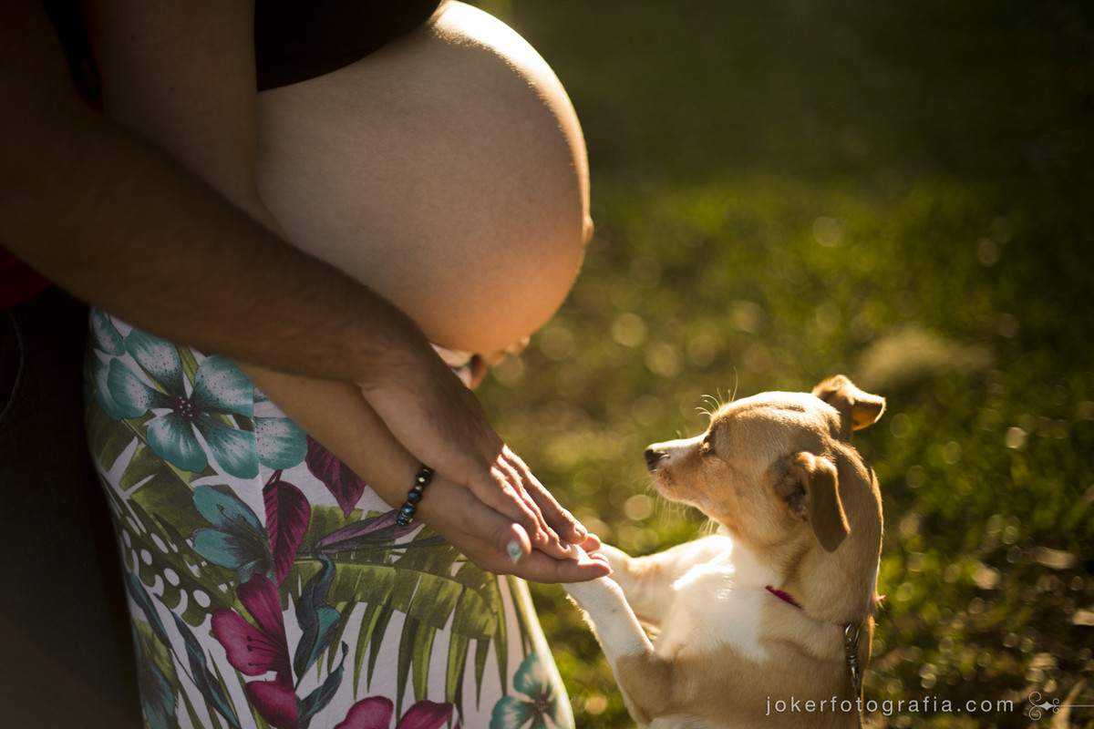 idéias diferentes para seu book de gestante: se você é mamãe de cachorro leve seu pet para o ensaio!