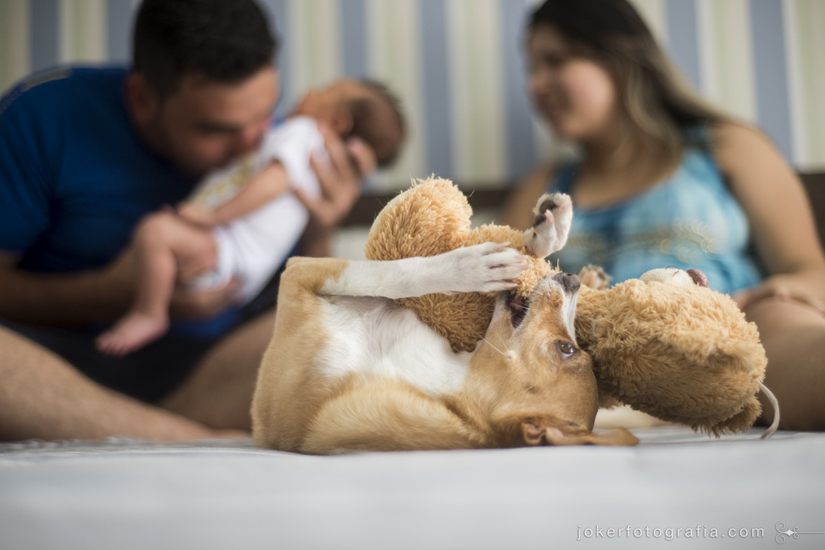 ensaio de casal com filho e cachorro em casa
