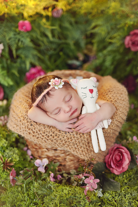 ensaio-newborn-diani-fernandes