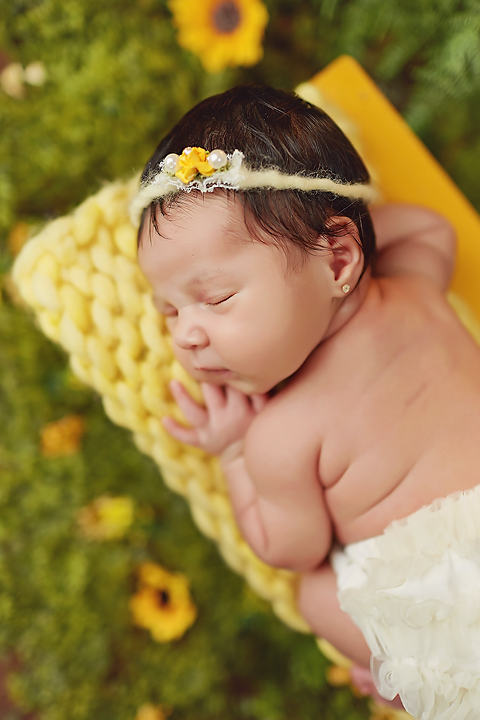 book-newborn-rj