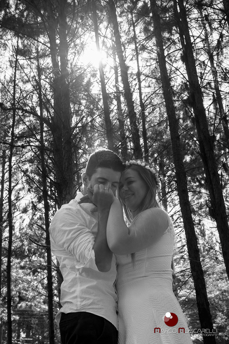 Foto em preto e branco com noivo beijando a mão da noiva lindo bosque de acacias ao fundo em ensaio pré-wedding. Foto por Marco Moscarelli