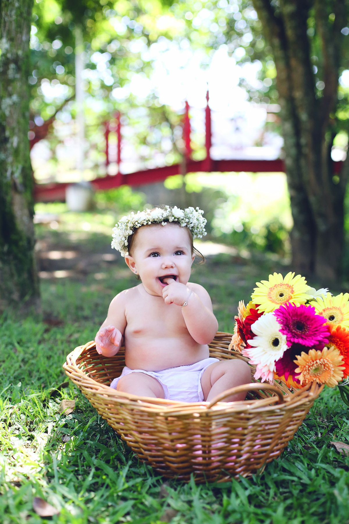 ensaio de acompanhamento - Maria Paula - Jaraguá do Sul - Chroma Fotografia