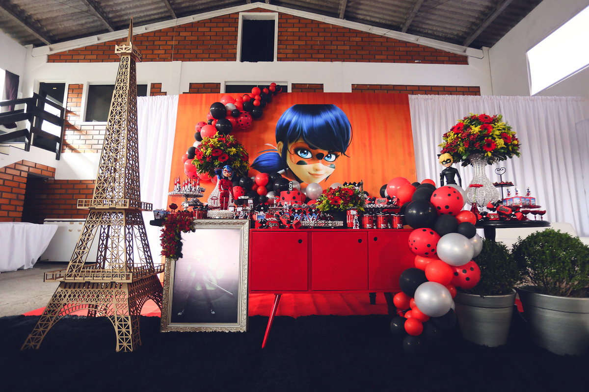 Aniversário - Lara 6 anos - Jaraguá do Sul - Chroma Fotografia - Tema Ladybug