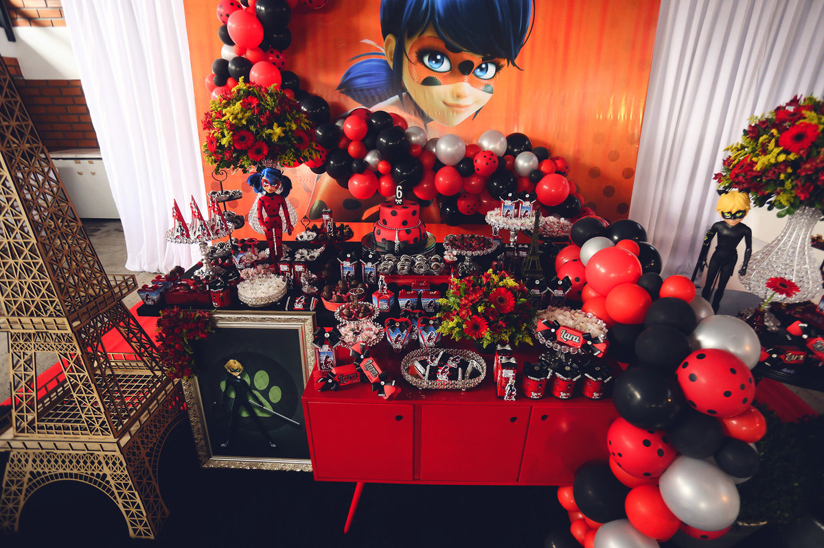 Aniversário - Lara 6 anos - Jaraguá do Sul - Chroma Fotografia - Tema Ladybug