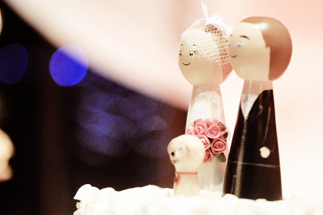 casamento paraíso das águas chroma fotografia são bento do sul