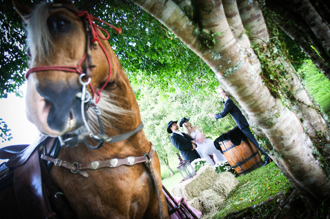 casamento de dia paraíso das águas country cavalos são bento do sul chroma fotografia