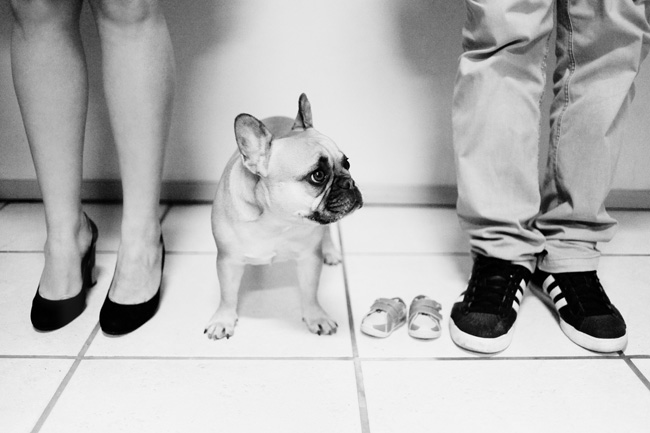 book ensaio gestante externo em casa animal de estimação cachorro são bento do sul chroma fotografia