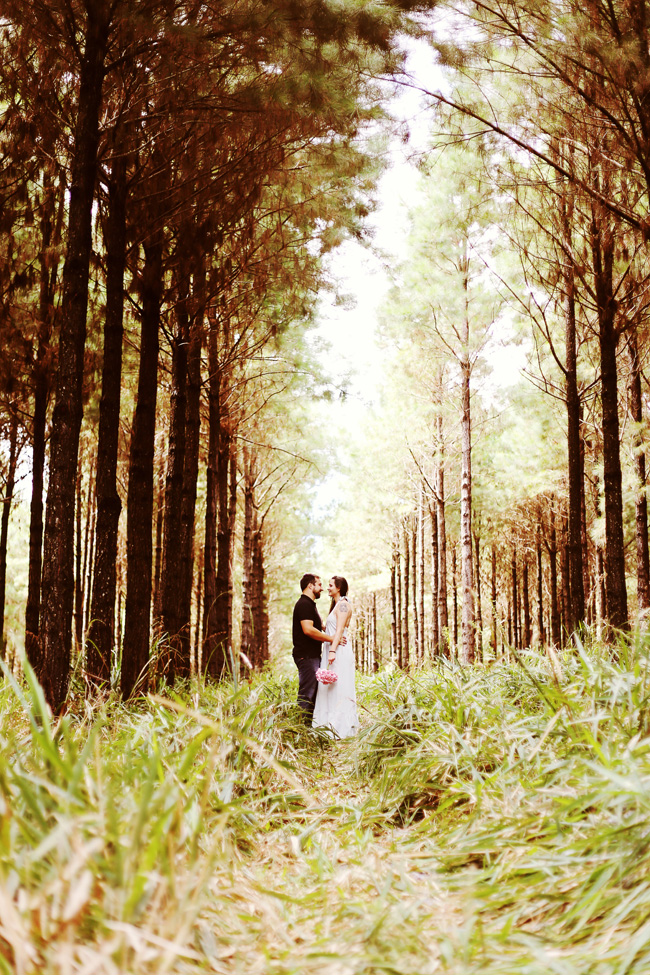 pré-casamento plantação pinus rio negrinho chroma fotografia