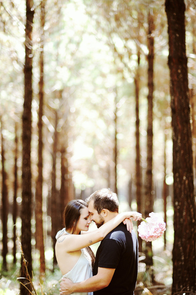 pré-casamento plantação pinus rio negrinho chroma fotografia