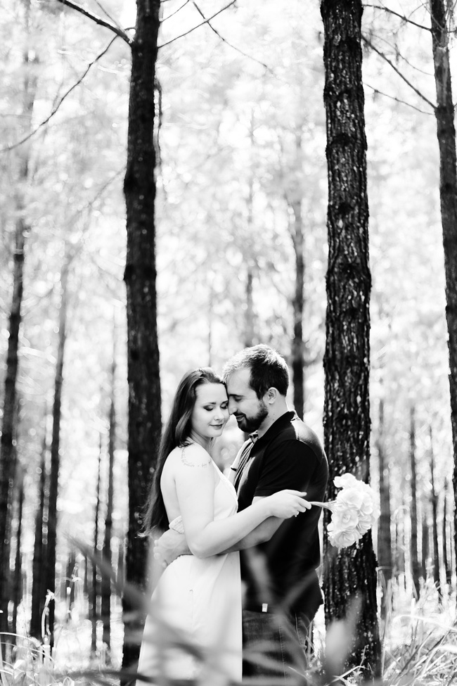 pré-casamento plantação pinus rio negrinho chroma fotografia