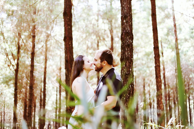 pré-casamento plantação pinus rio negrinho chroma fotografia