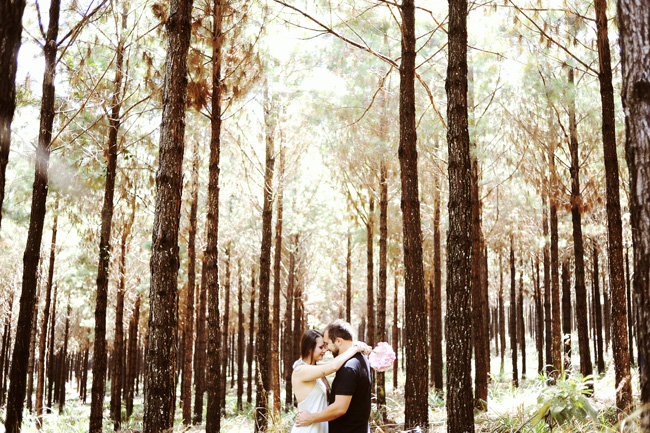 pré-casamento plantação pinus rio negrinho chroma fotografia