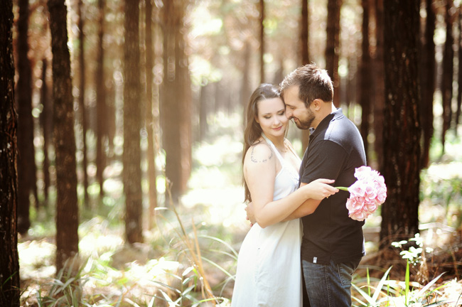 pré-casamento plantação pinus rio negrinho chroma fotografia