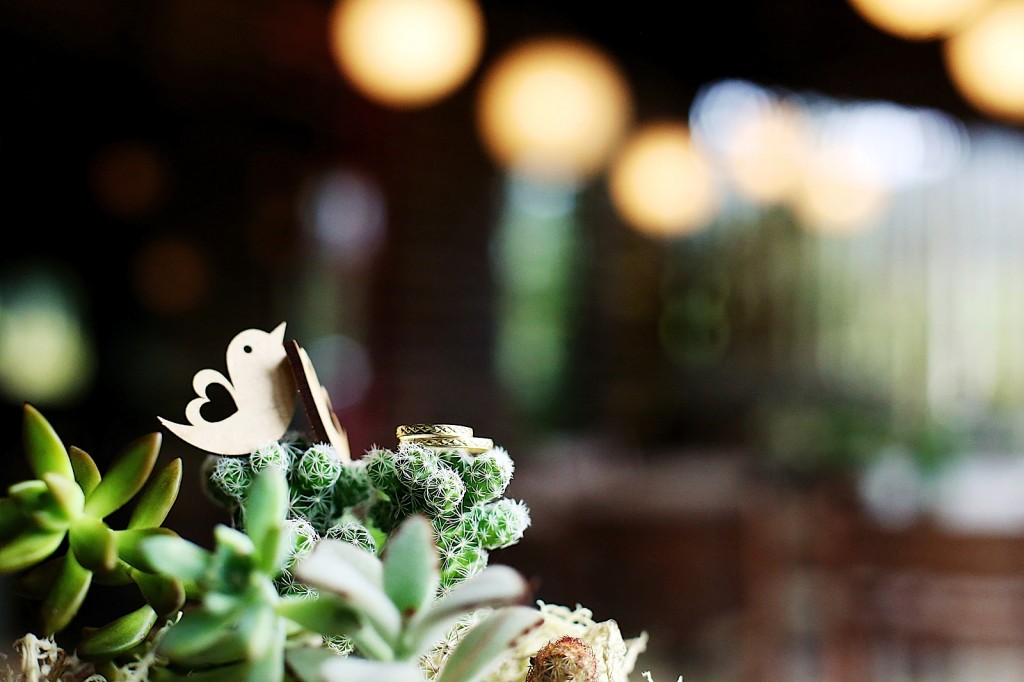 pré-casamento vale dos ventos rio dos cedros chroma fotografia