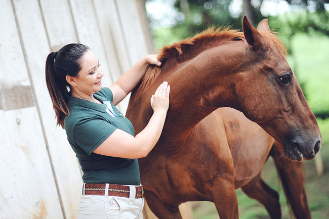 book ensaio fotográfico externo cavalo campo alegre chroma fotografia