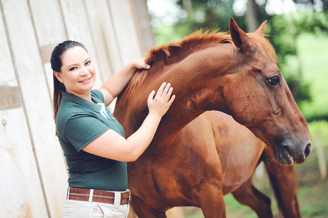 book ensaio fotográfico externo cavalo campo alegre chroma fotografia